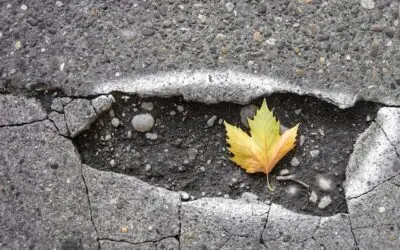 Unveiling The UK’s Pothole Hotspots